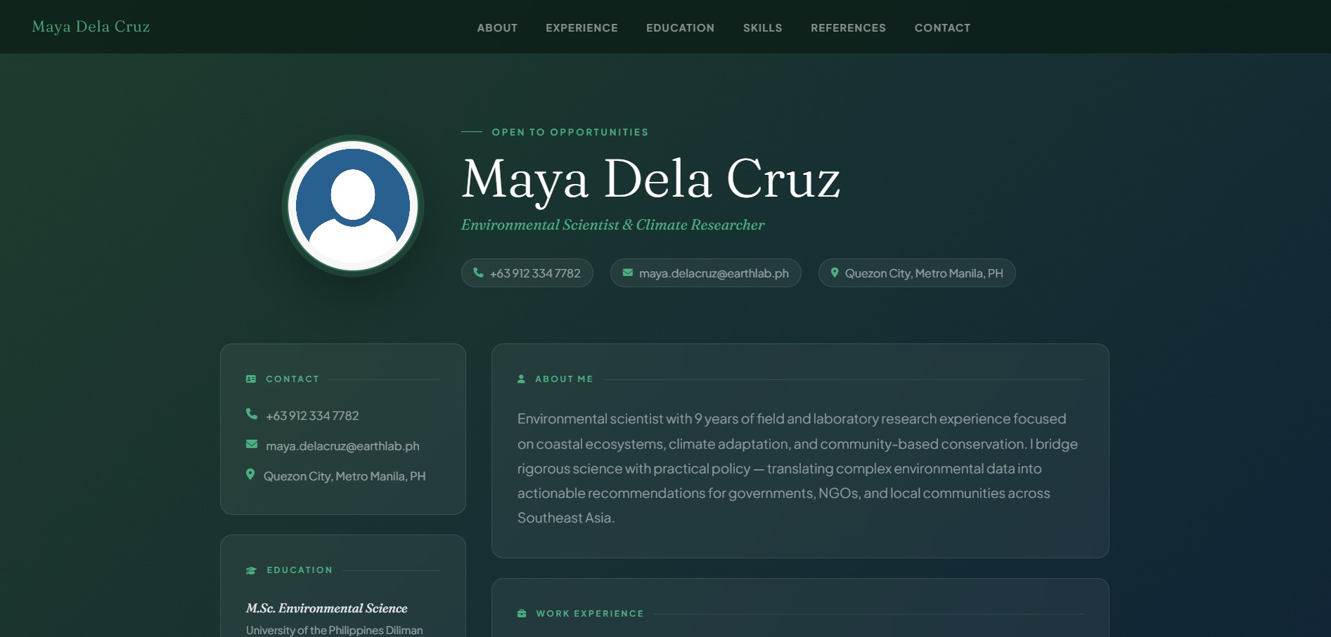 Midnight resume template preview
