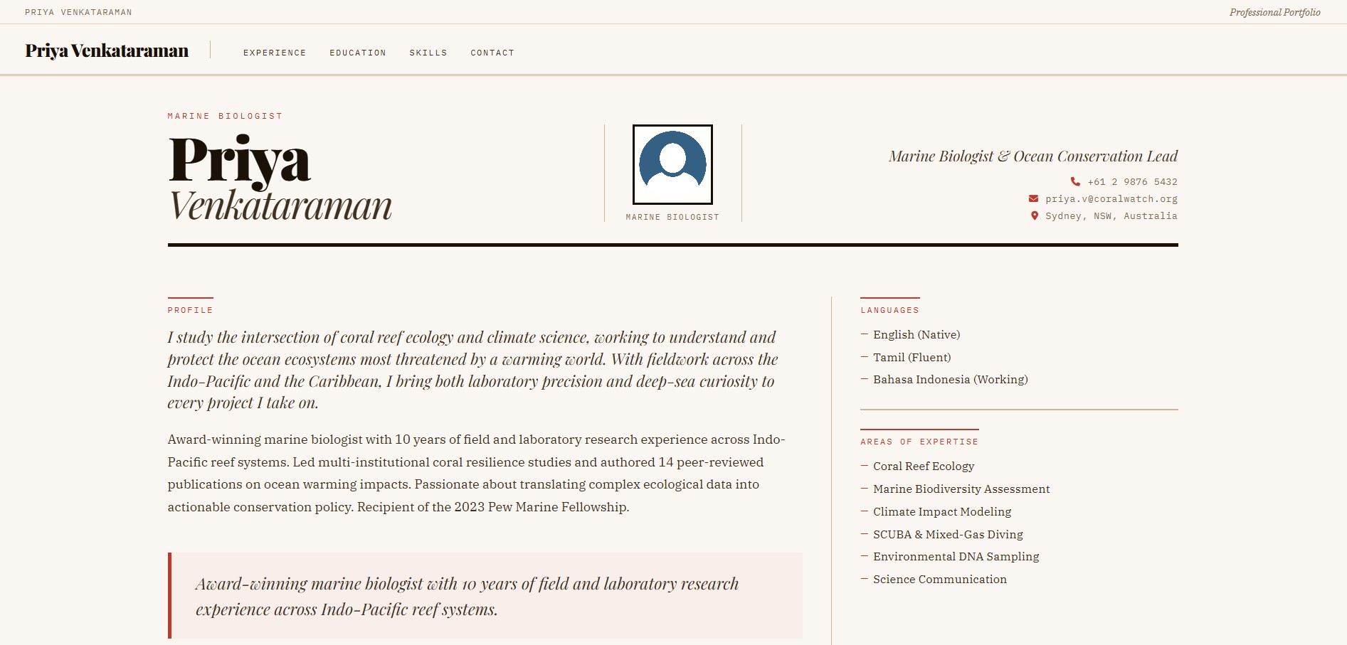 Storm resume template preview
