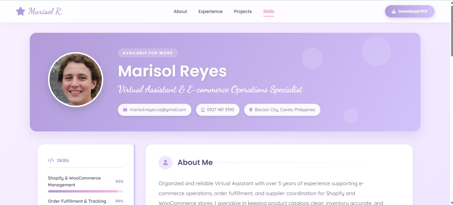 Aurora resume template preview